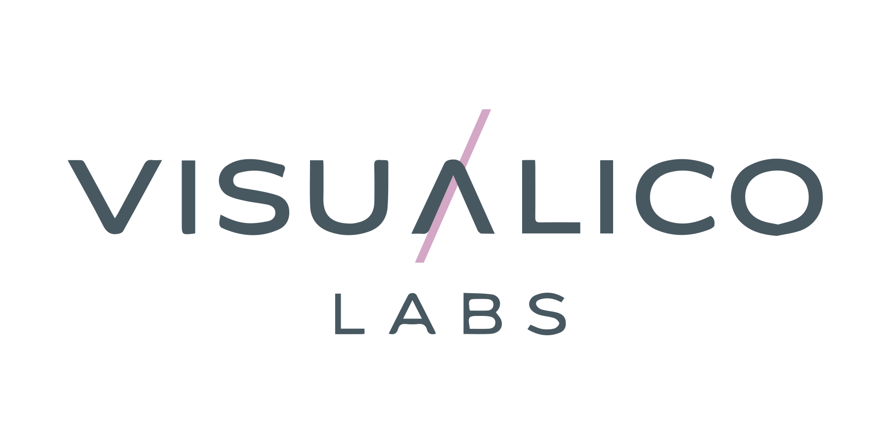 Visualico Labs logo
